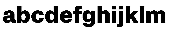 Snaga Arabic Heavy FONT