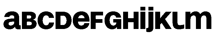 Snaga Uni Display Black FONT