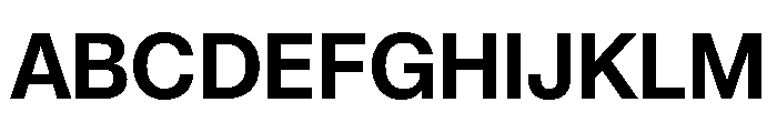 Snaga Uni Display Bold Font UPPERCASE