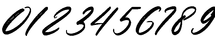 Snowberry Brush Italic Font OTHER CHARS