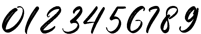 Snowberry Brush Font OTHER CHARS