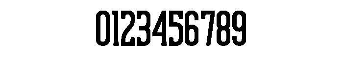 Snowfall Wonderland Regular Font OTHER CHARS