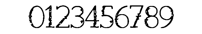 Snowflake_Serenade Font OTHER CHARS