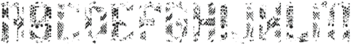Snakebite Texture FX otf (400) Font UPPERCASE