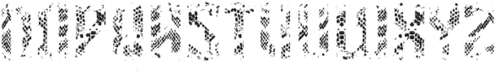 Snakebite Texture FX otf (400) Font UPPERCASE