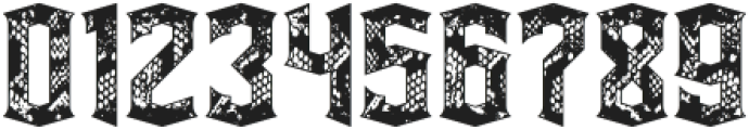 Snakebite Texture otf (400) Font OTHER CHARS