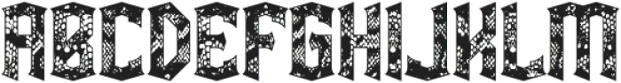 Snakebite Texture otf (400) Font UPPERCASE