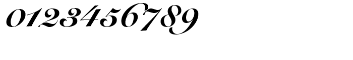 Snell Roundhand Script Black Font OTHER CHARS