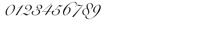Snell Roundhand Script Font OTHER CHARS