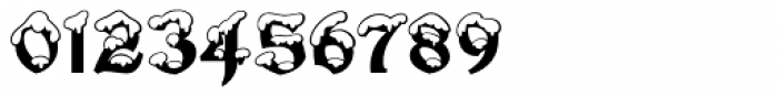 Snowgoose Font OTHER CHARS