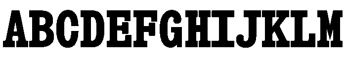 Snapshot Bold Font UPPERCASE