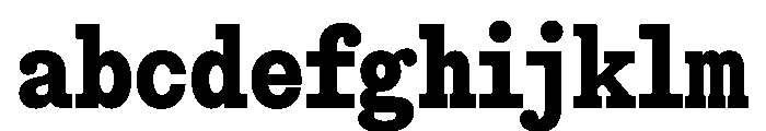 Snapshot Bold FONT