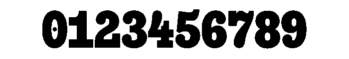 Snapshot Heavy Font OTHER CHARS