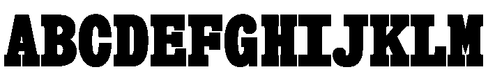 Snapshot Heavy Font UPPERCASE