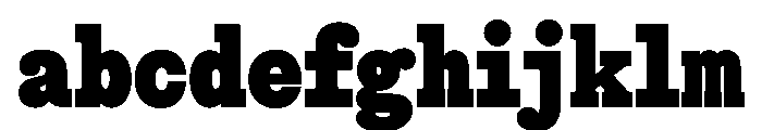 Snapshot Heavy FONT