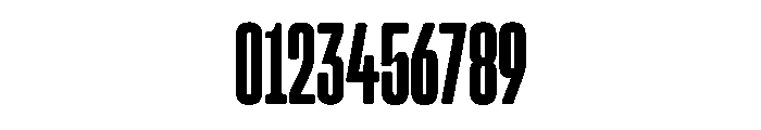 Snug CompressedBold Instance Font OTHER CHARS