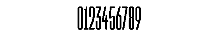 Snug CompressedNormal Instance Font OTHER CHARS