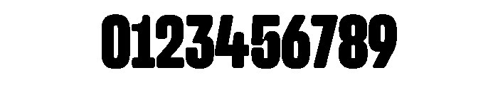Snug LowCompactBlack Instance Font OTHER CHARS