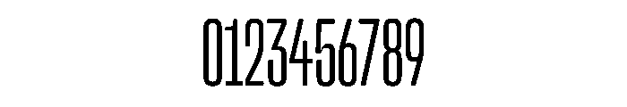 Snug LowCompactLight Instance Font OTHER CHARS