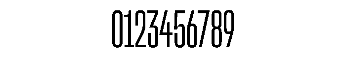 SnugSharp CpctLight Instance Font OTHER CHARS