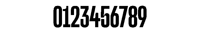 SnugSharp CpctSBold Instance Font OTHER CHARS