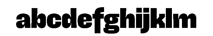 SnugSharp LBlack Instance FONT