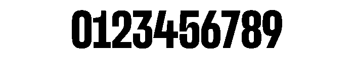 SnugSharp LBold Instance Font OTHER CHARS