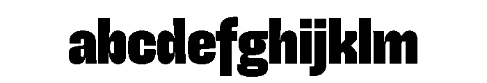 SnugSharp LCpctBlack Instance FONT