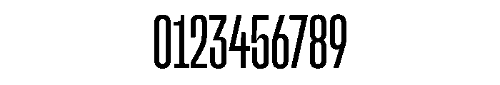 SnugSharp LCpctNormal Instance Font OTHER CHARS
