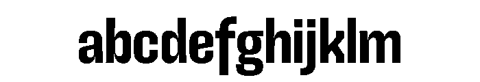 SnugSharp LSBold Instance FONT