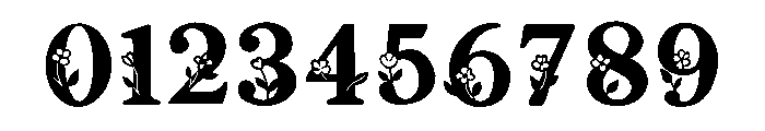So Flora Font OTHER CHARS