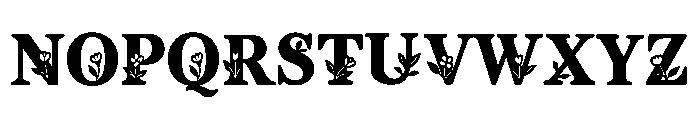 So Flora Font LOWERCASE