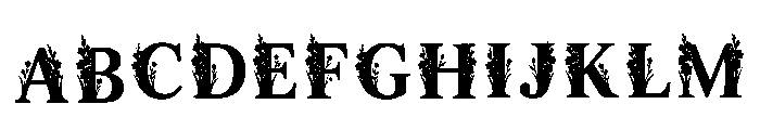 Solitaire Regular FONT
