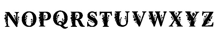 Solitaire Regular Font LOWERCASE