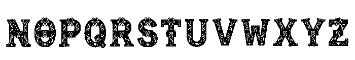 Sorel Regular Font LOWERCASE