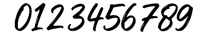 Sorella Coast Script Font OTHER CHARS