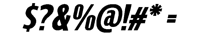 Southfolk Sans Italic Font OTHER CHARS