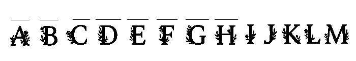 Soyma Regular FONT