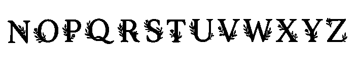 Soyma Regular Font LOWERCASE