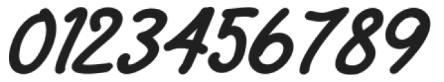 Sofler Bold Italic otf (700) Font OTHER CHARS