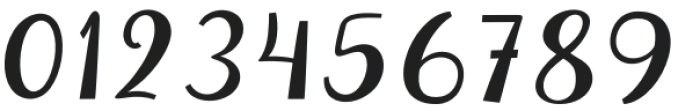 SonikaScript-Italic otf (400) Font OTHER CHARS