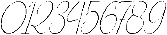 Sonyalea Italic otf (400) Font OTHER CHARS