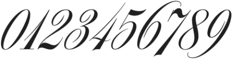 Sophisticate Numerals Elaborate otf (400) Font OTHER CHARS