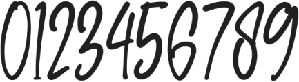 South Signature otf (400) Font OTHER CHARS