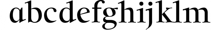 Solomon Serif Font Family 1 Font LOWERCASE