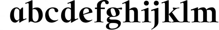 Solomon Serif Font Family 2 Font LOWERCASE