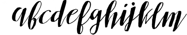 Sottafles Typeface + Swashes Font LOWERCASE