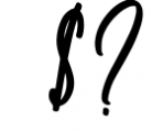 Soul Signature - signature font Font OTHER CHARS