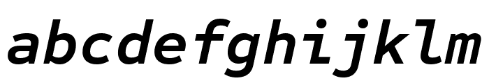 Sometype Mono Bold Italic Font LOWERCASE