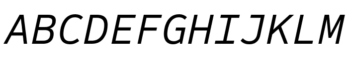 Sometype Mono Italic Font UPPERCASE